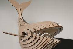 Laserizzazione-3d-Balena